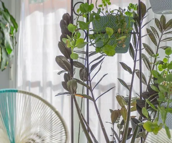 Lägenhet Center Templo Garden Parking Gratis Granada